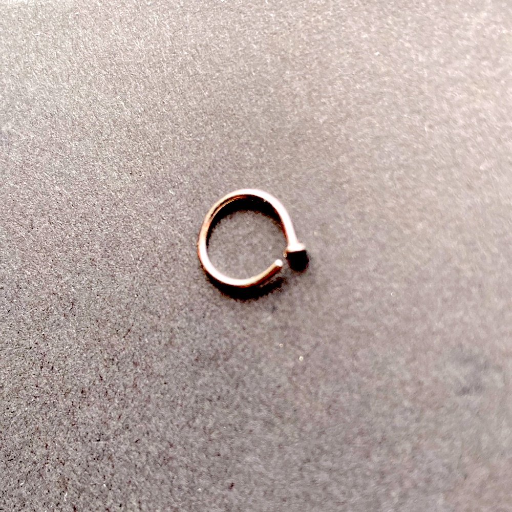 Titanium Nose Ring
